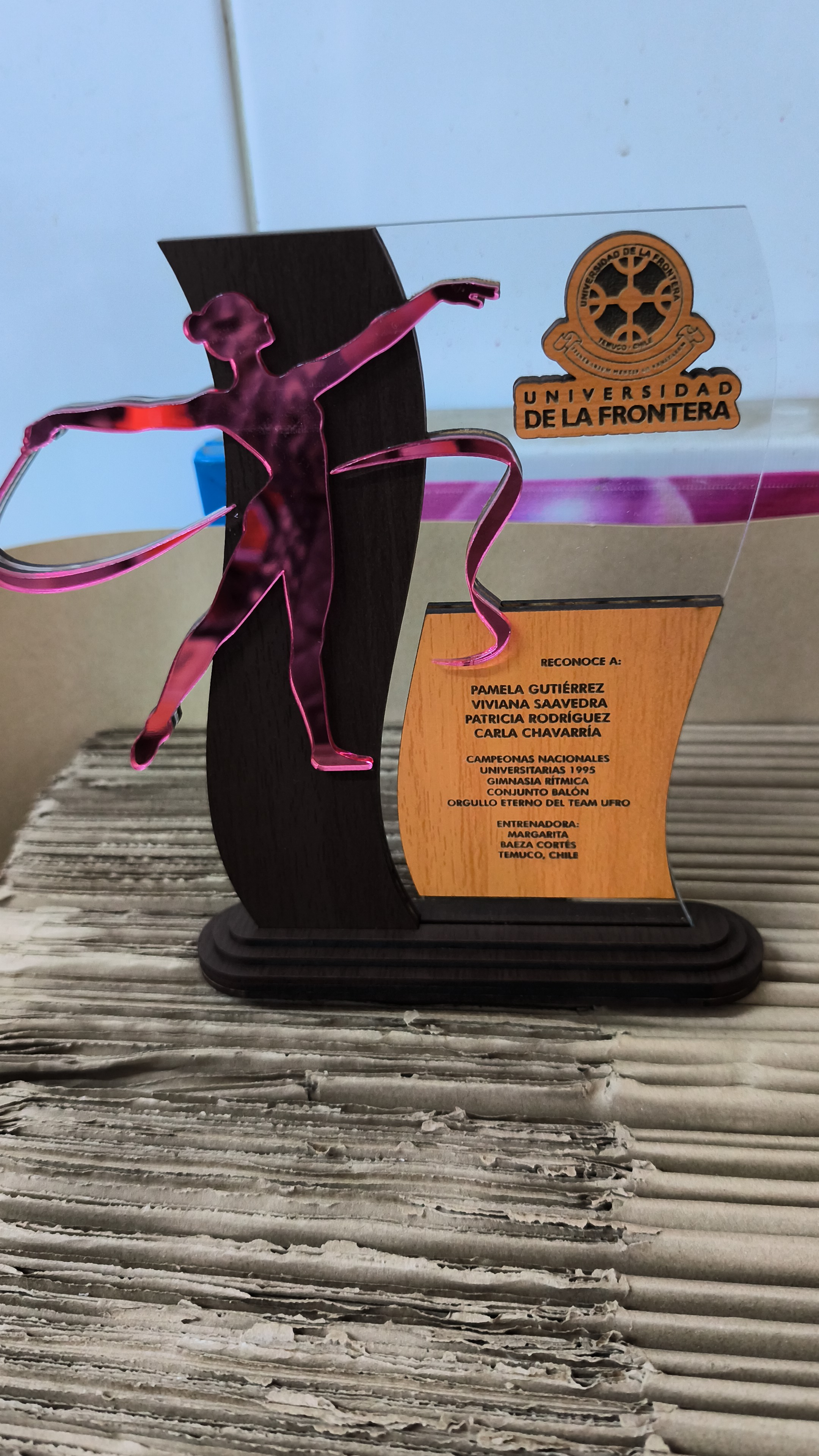 CreamosChile - Imagen 2