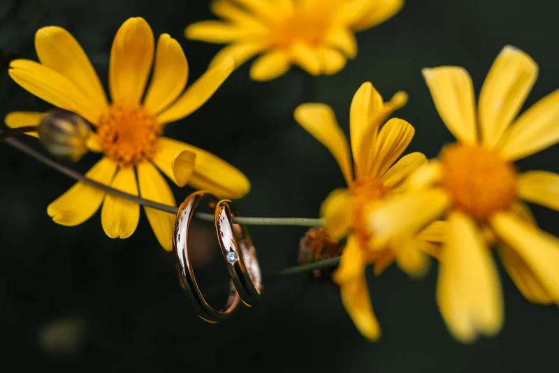 Fotografías Valentina Páez