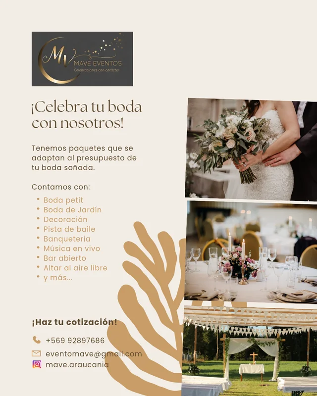 MAVE Evento
