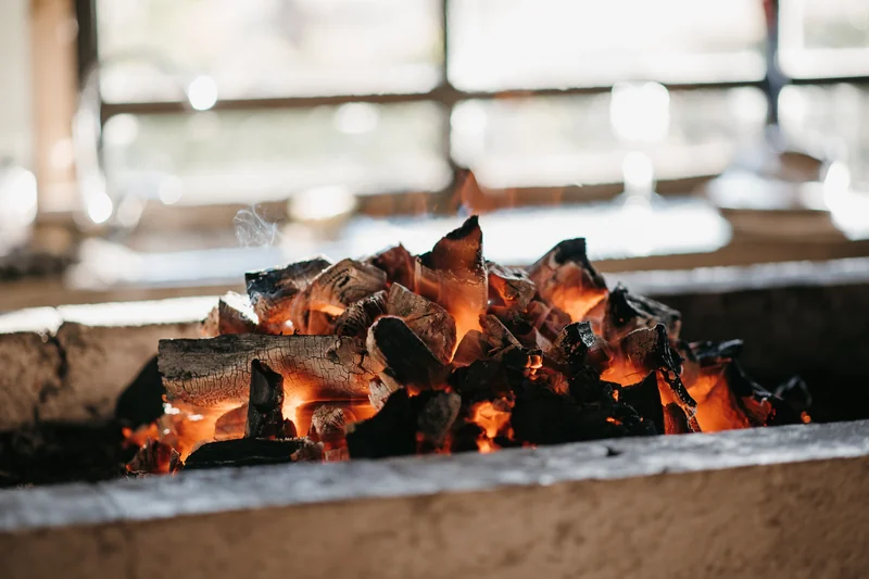 Fundo Santa Inés de La Vega