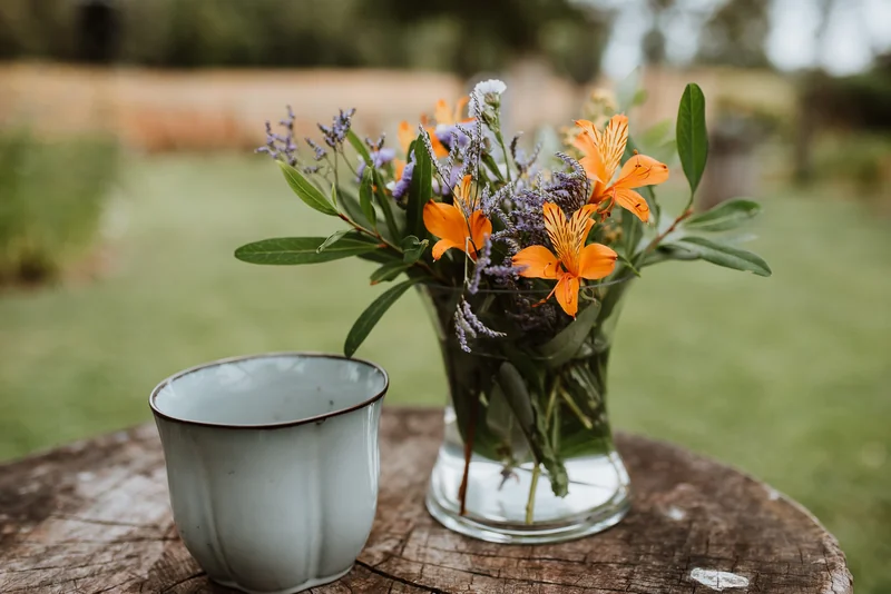 Fundo Santa Inés de La Vega