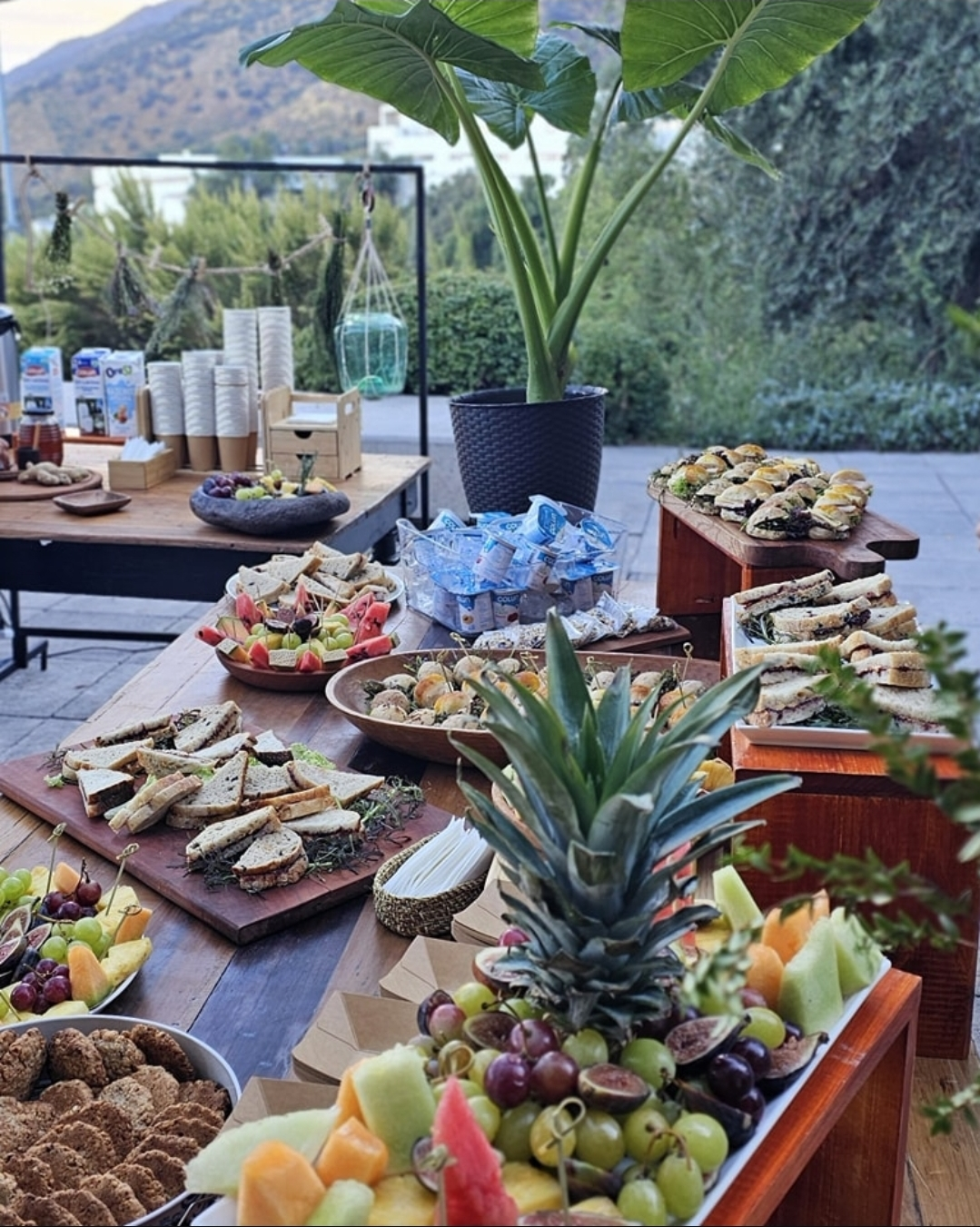 Selva Banquetería - Imagen 1