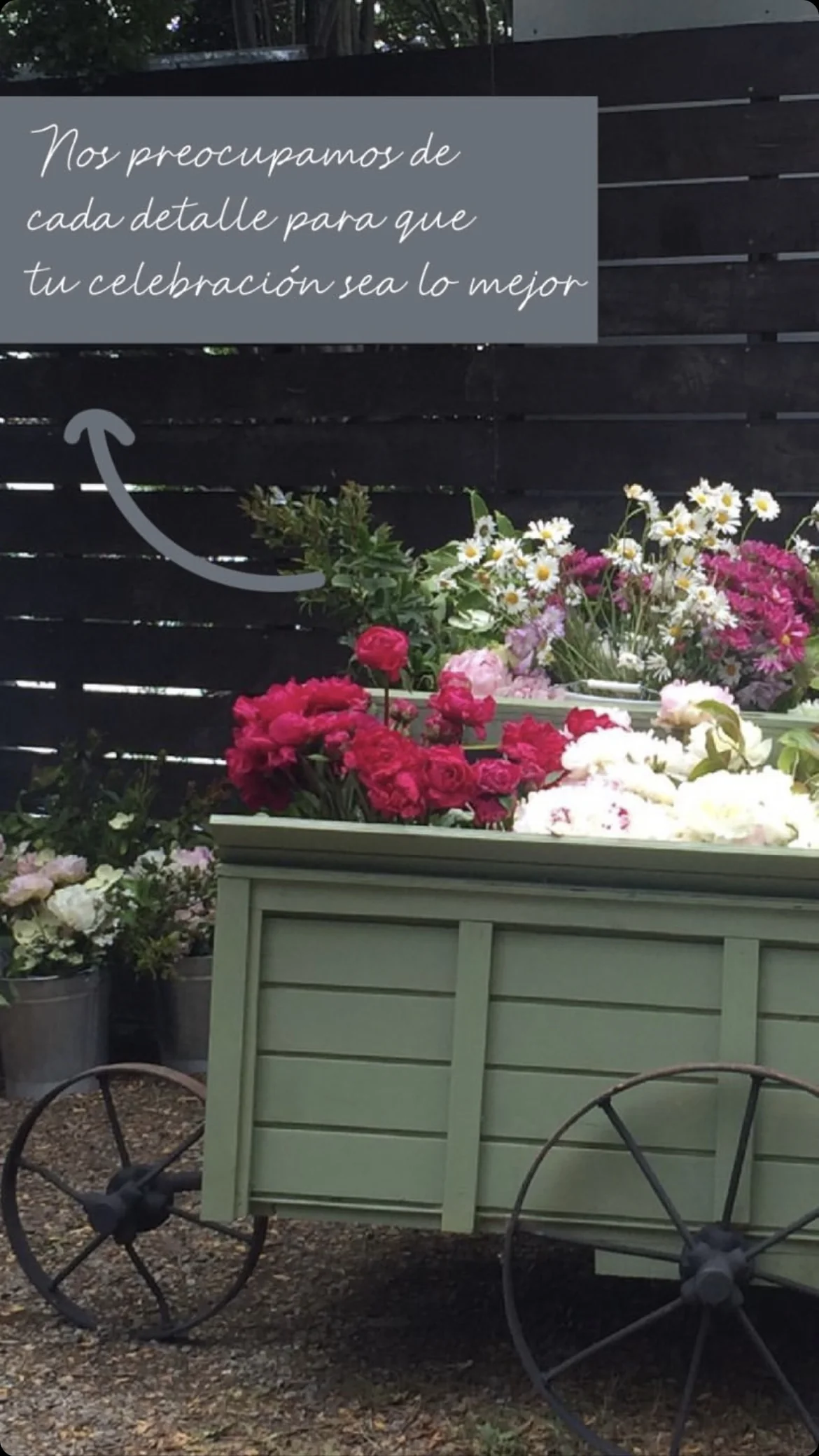 Carmen Arismendi Banqueteria - Imagen 4