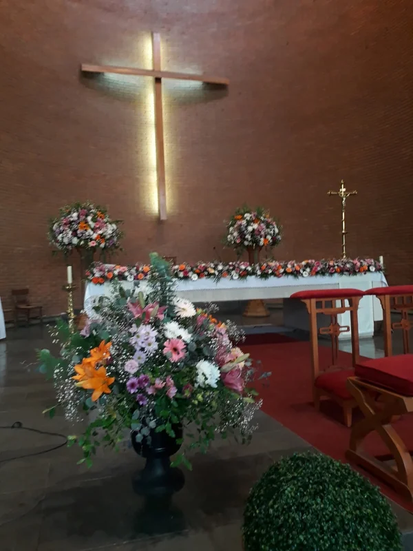 Solano/Eventos /Bodas wedding Planner