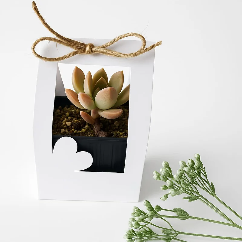 Elementos decorativos para eventos especiales 