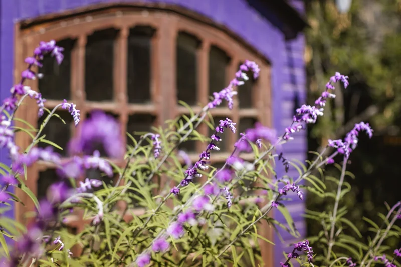 La Morada del Cajón