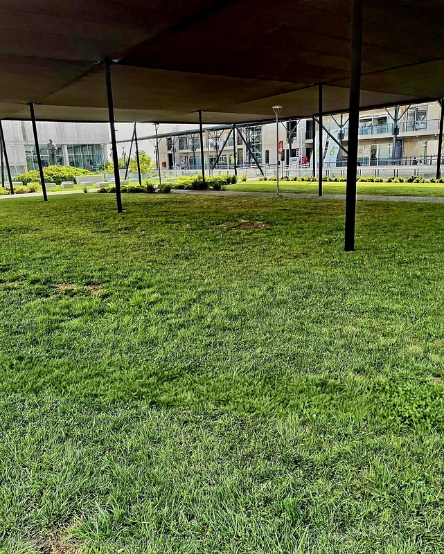 Carpas Nicolás