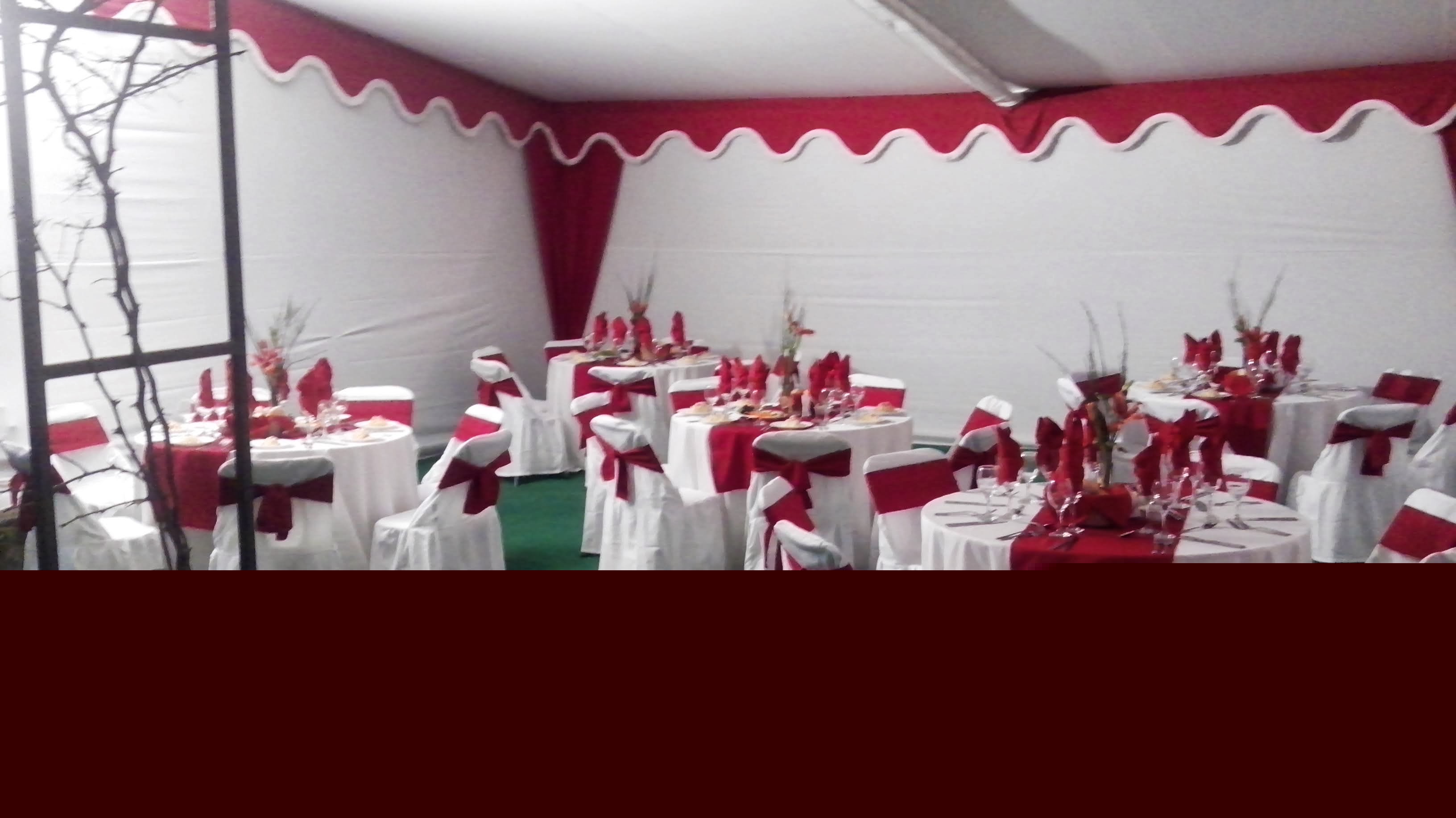 Bodas Y Eventos - Imagen 24