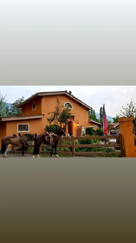 La Calma de Rita - Pirque