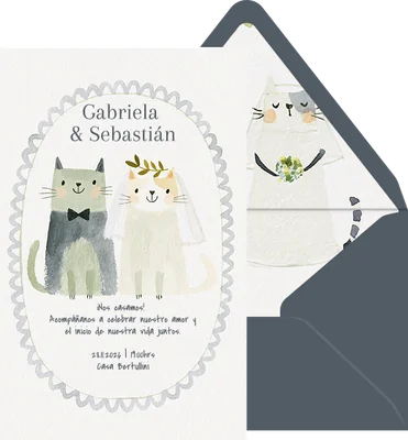 Novios gaturros preview
