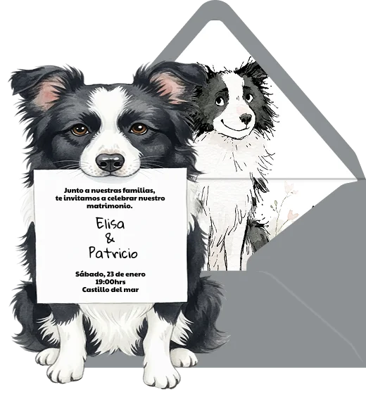 Border Collie - Plantilla de invitación