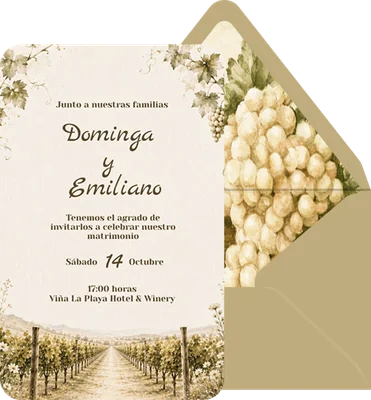 Entre viñedos preview