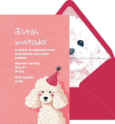 Poodle rosado preview