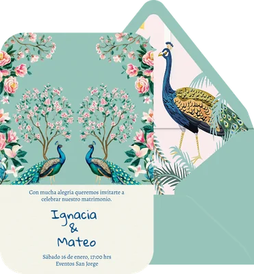 Pavo real preview